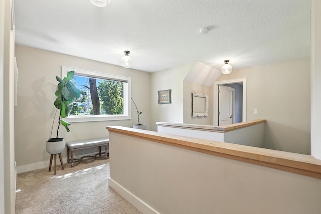 2794 Casco Point Rd, Orono, MN 55391 - hallway with light carpet and a textured ceiling