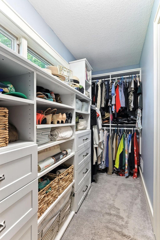 2794 Casco Point Rd, Orono, MN 55391 - spacious closet with light carpet