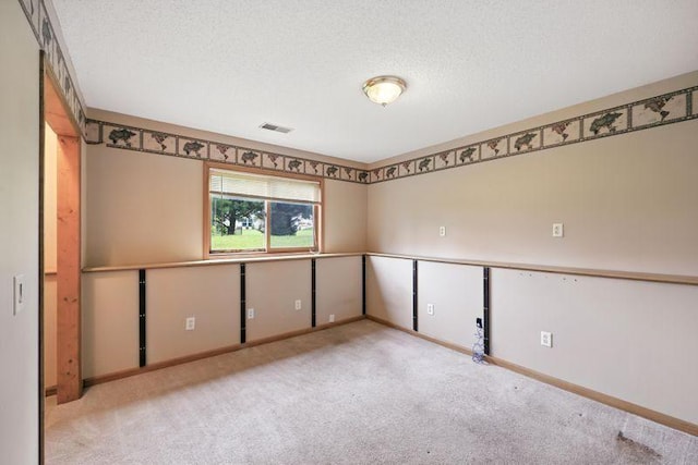 10374 61st St NE, Albertville, MN 55301 - empty room featuring carpet and a textured ceiling