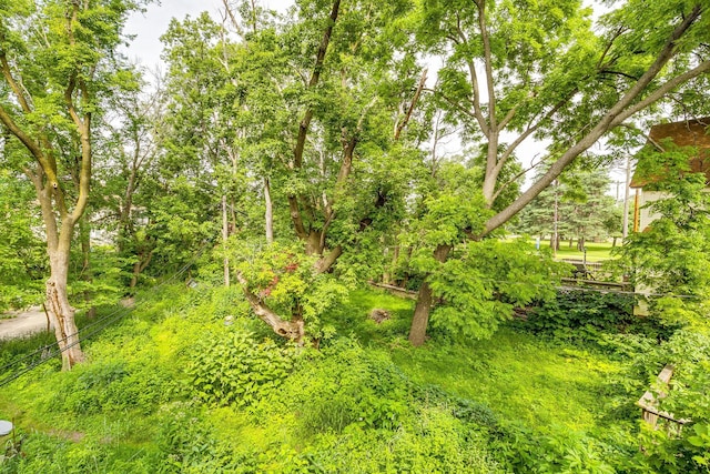 1109 Como Pl, Saint Paul, MN 55103 - photo 10