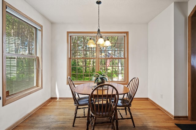 11691 115th St N, Grant, MN 55082 - dining area with a chandelier, healthy amount of natural light, light wood-style flooring, and a textured ceiling