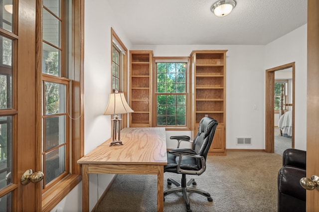 11691 115th St N, Grant, MN 55082 - carpeted office featuring a textured ceiling and baseboards