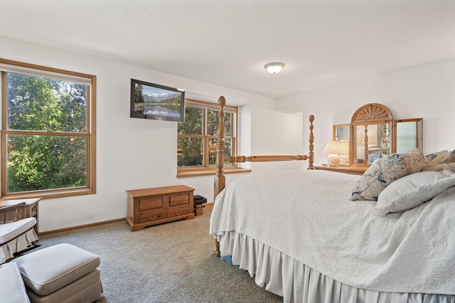 11691 115th St N, Grant, MN 55082 - bedroom with carpet, multiple windows, and a textured ceiling
