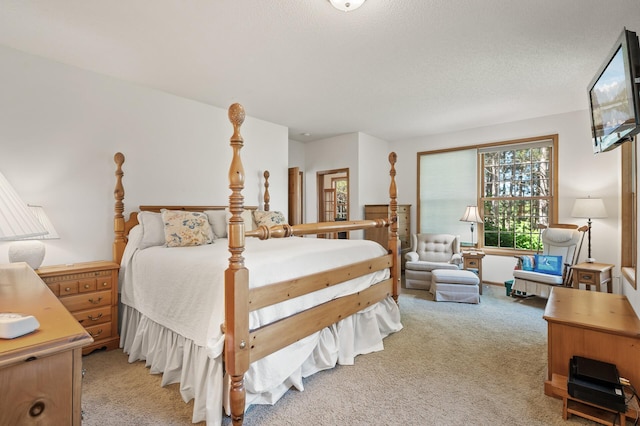 11691 115th St N, Grant, MN 55082 - bedroom with light carpet and a textured ceiling
