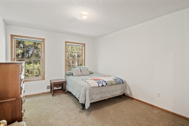 11691 115th St N, Grant, MN 55082 - bedroom featuring carpet and a textured ceiling