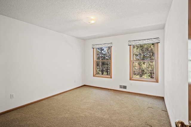 11691 115th St N, Grant, MN 55082 - unfurnished room with carpet flooring and a textured ceiling