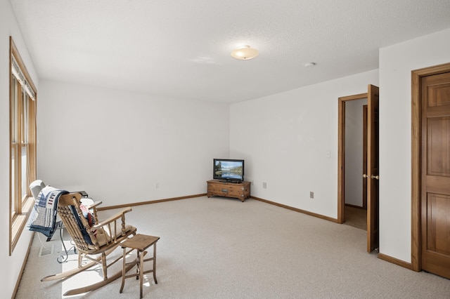 11691 115th St N, Grant, MN 55082 - sitting room with light colored carpet and a textured ceiling