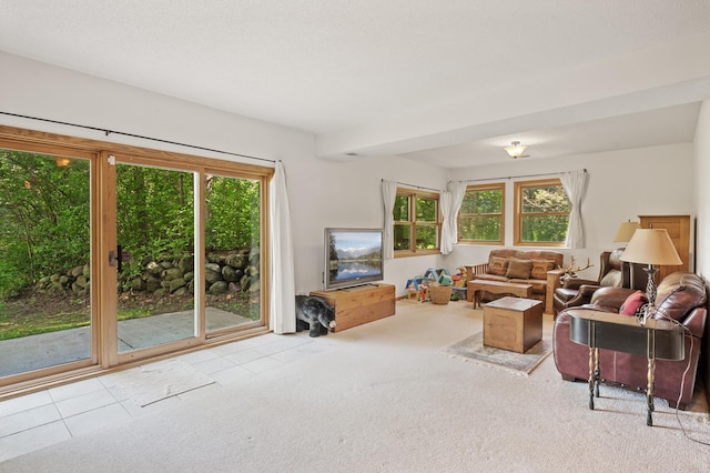 11691 115th St N, Grant, MN 55082 - living room featuring plenty of natural light, carpet flooring, and tile patterned flooring