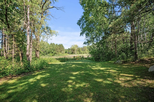 11691 115th St N, Grant, MN 55082 - view of grassy yard featuring a view of trees