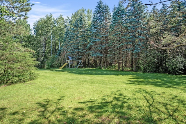 11691 115th St N, Grant, MN 55082 - view of green lawn featuring a playground and a wooded view