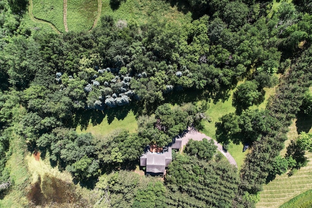 11691 115th St N, Grant, MN 55082 - aerial view of property and surrounding area