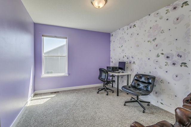 9990 189th Ave NW, Elk River, MN 55330 - photo 16