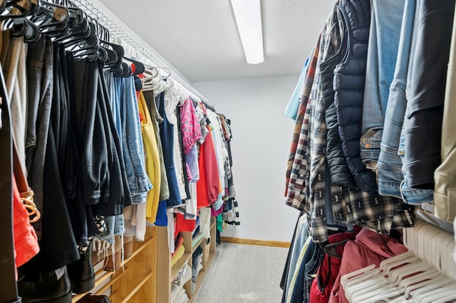 5737 20th Ave S, Minneapolis, MN 55417 - spacious closet with carpet floors