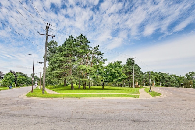 1113 Como Pl, Saint Paul, MN 55103 - photo 4