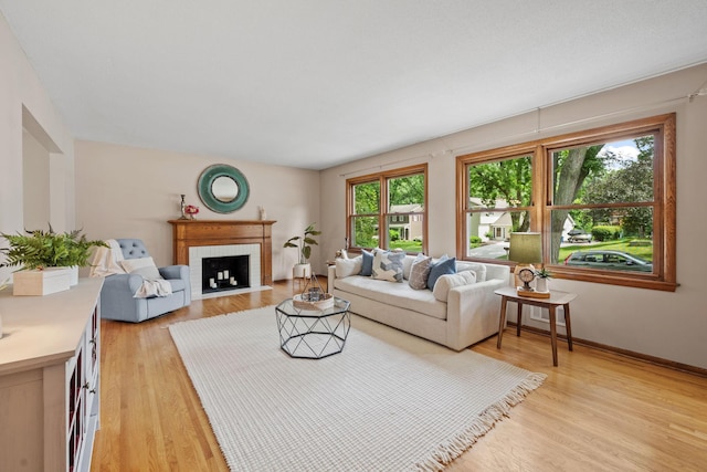 1762 Canyon Ln, New Brighton, MN 55112 - living area with light wood-style floors and a fireplace