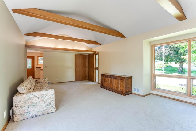 3330 Belden Dr NE, Saint Anthony, MN 55418 - unfurnished living room with light colored carpet