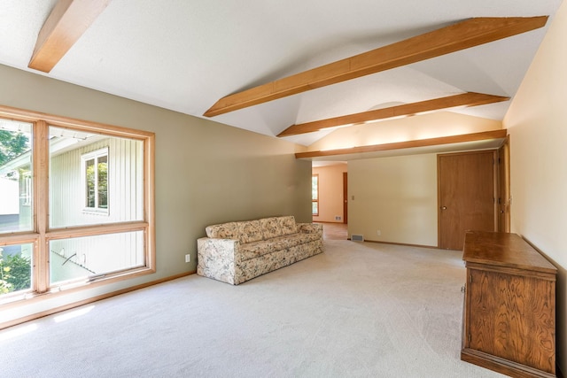 3330 Belden Dr NE, Saint Anthony, MN 55418 - unfurnished room with light carpet and plenty of natural light