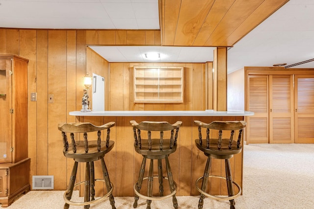 3330 Belden Dr NE, Saint Anthony, MN 55418 - indoor bar with carpet flooring and wooden walls