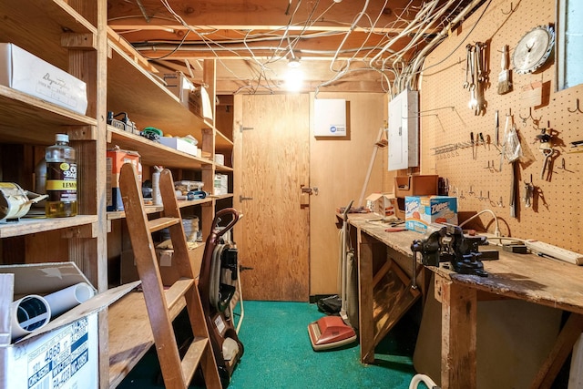 3330 Belden Dr NE, Saint Anthony, MN 55418 - storage area featuring electric panel