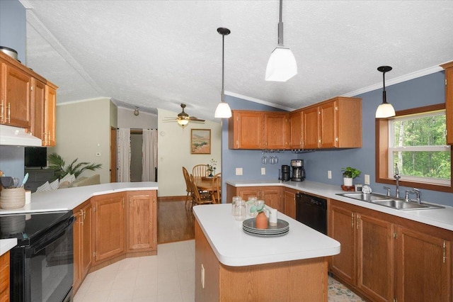 4179 W Tischer Rd, Rice Lake, MN 55803 - kitchen featuring lofted ceiling, crown molding, light countertops, black appliances, and brown cabinetry