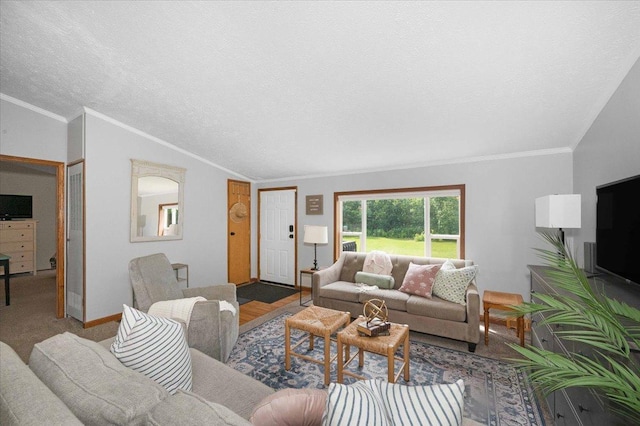 4179 W Tischer Rd, Rice Lake, MN 55803 - living area with crown molding, vaulted ceiling, and a textured ceiling