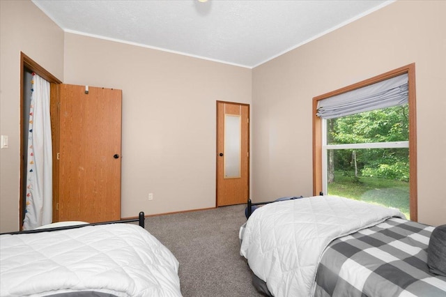 4179 W Tischer Rd, Rice Lake, MN 55803 - carpeted bedroom featuring crown molding