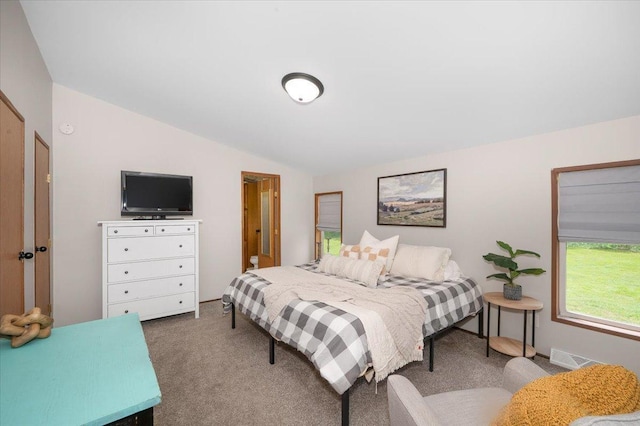 4179 W Tischer Rd, Rice Lake, MN 55803 - bedroom with carpet floors and lofted ceiling