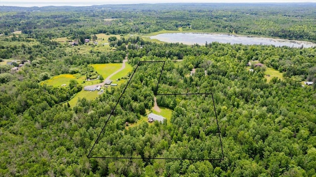 4179 W Tischer Rd, Rice Lake, MN 55803 - aerial overview of property's location featuring property parcel outlined and a large body of water