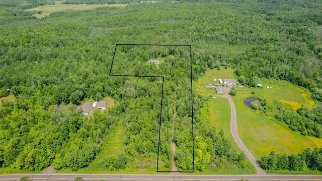 4179 W Tischer Rd, Rice Lake, MN 55803 - aerial view of property and surrounding area featuring a heavily wooded area and property boundaries highlighted