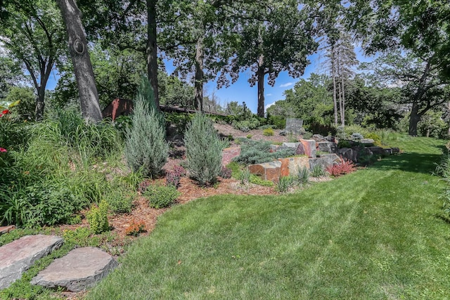 789 Viking Dr E, Little Canada, MN 55117 - view of green lawn