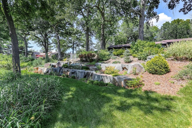 789 Viking Dr E, Little Canada, MN 55117 - view of yard