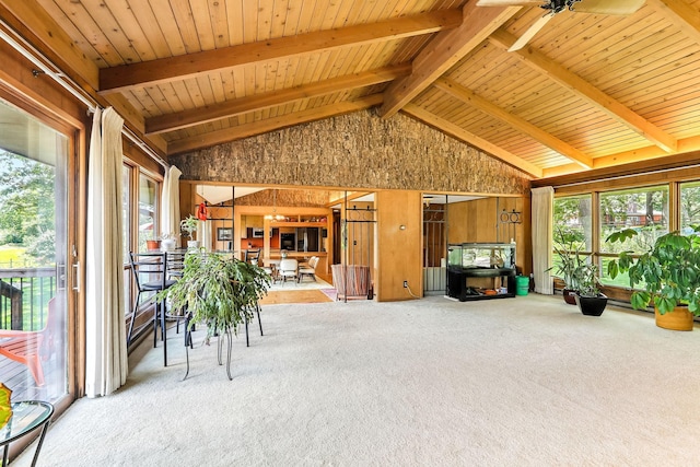 789 Viking Dr E, Little Canada, MN 55117 - unfurnished sunroom with plenty of natural light and a wood stove