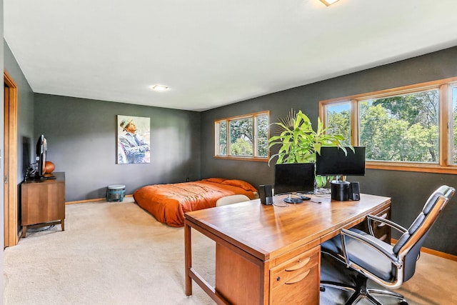 789 Viking Dr E, Little Canada, MN 55117 - office featuring carpet flooring