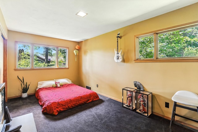 789 Viking Dr E, Little Canada, MN 55117 - carpeted bedroom with multiple windows