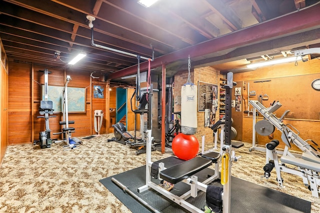 789 Viking Dr E, Little Canada, MN 55117 - exercise area with wood walls and carpet flooring