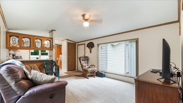 15237 190th St, Milaca, MN 56353 - photo 16