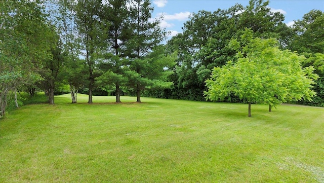15237 190th St, Milaca, MN 56353 - photo 27