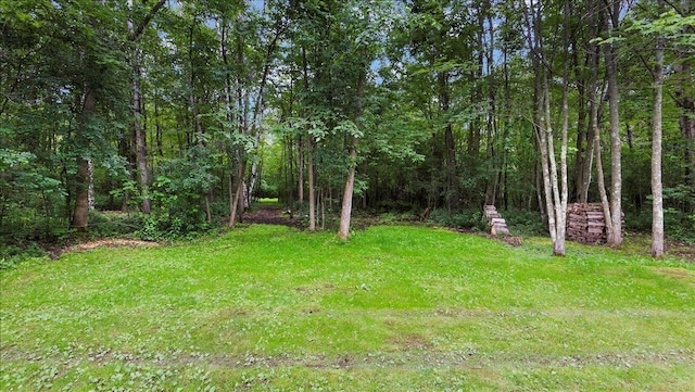 15237 190th St, Milaca, MN 56353 - photo 31