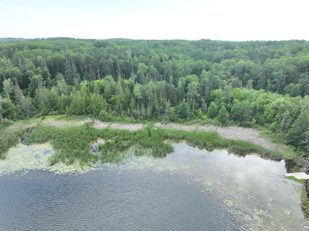 TBD-1 Christmas Point Rd NW, Walker, MN 56484 - photo 2