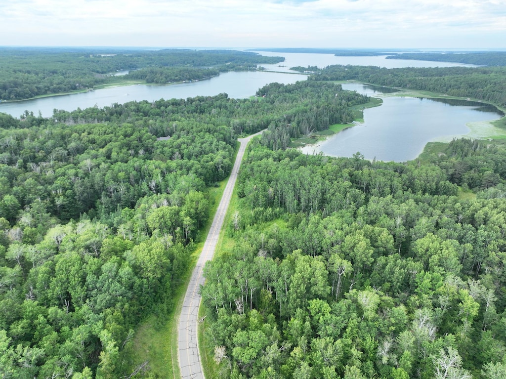 TBD-1 Christmas Point Rd NW, Walker, MN 56484 - photo 3