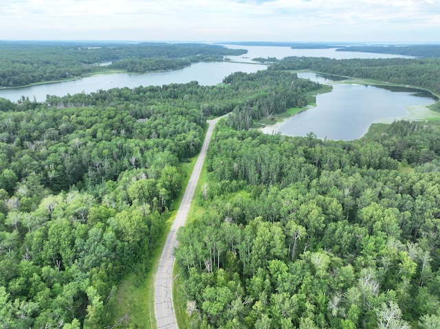 TBD-1 Christmas Point Rd NW, Walker, MN 56484 - photo 3