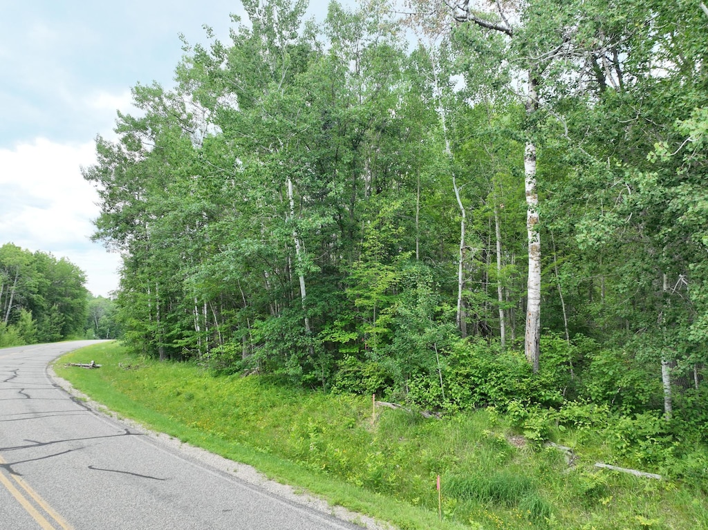 TBD-1 Christmas Point Rd NW, Walker, MN 56484 - photo 4
