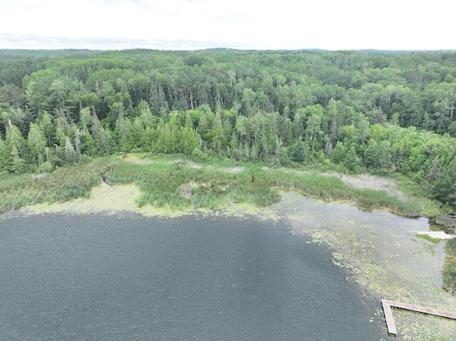 TBD-2 Christmas Point Rd NW, Walker, MN 56484 - photo 2