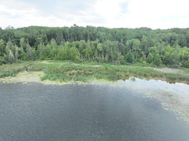 TBD-2 Christmas Point Rd NW, Walker, MN 56484 - photo 3