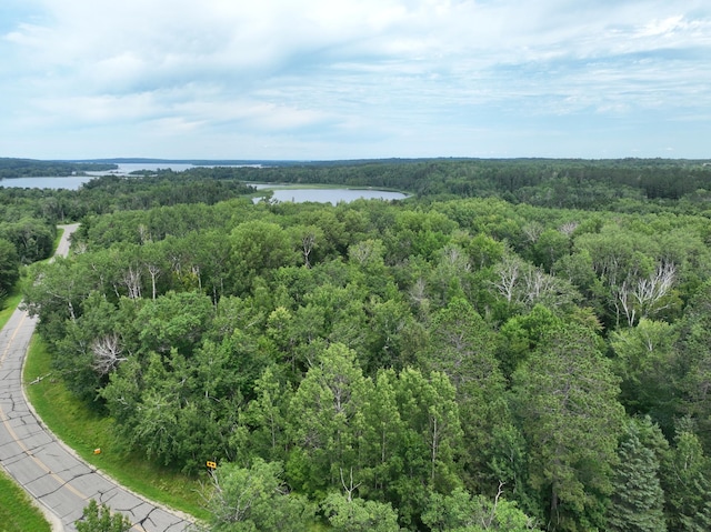 TBD-2 Christmas Point Rd NW, Walker, MN 56484 - photo 4
