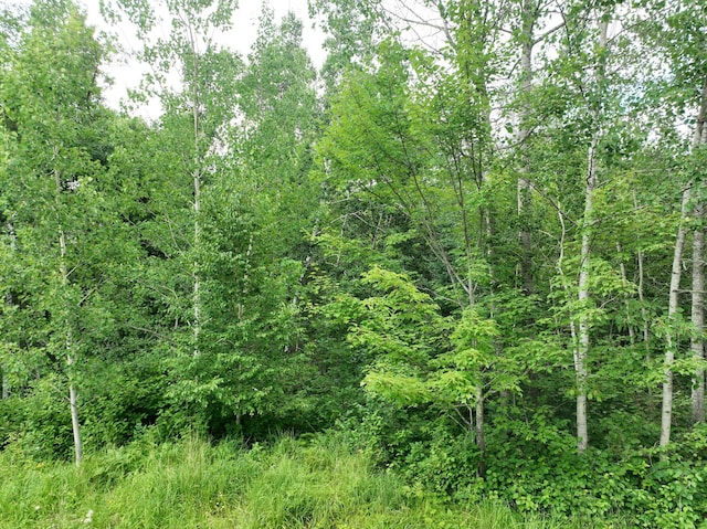 TBD-2 Christmas Point Rd NW, Walker, MN 56484 - photo 5