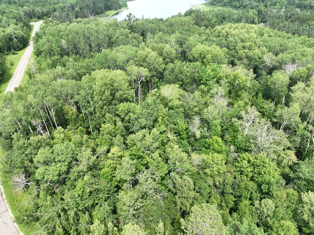 TBD-2 Christmas Point Rd NW, Walker, MN 56484 - photo 6