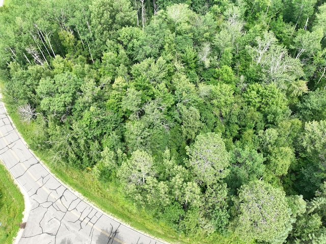 TBD-2 Christmas Point Rd NW, Walker, MN 56484 - photo 7