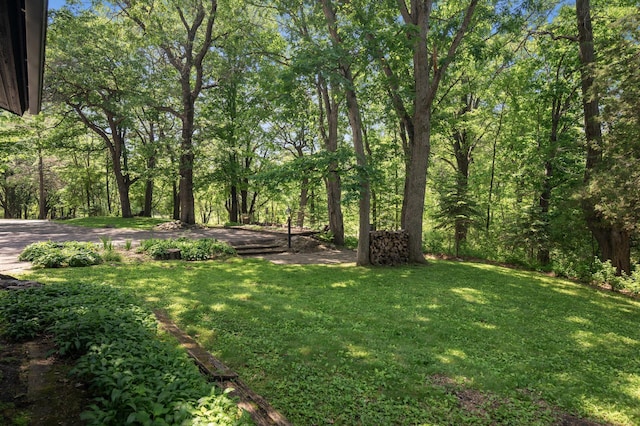 3 Mallard Ln, North Oaks, MN 55127 - photo 14