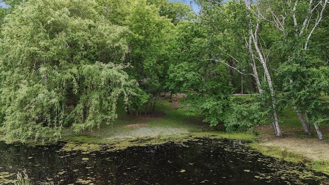 3 Mallard Ln, North Oaks, MN 55127 - photo 15